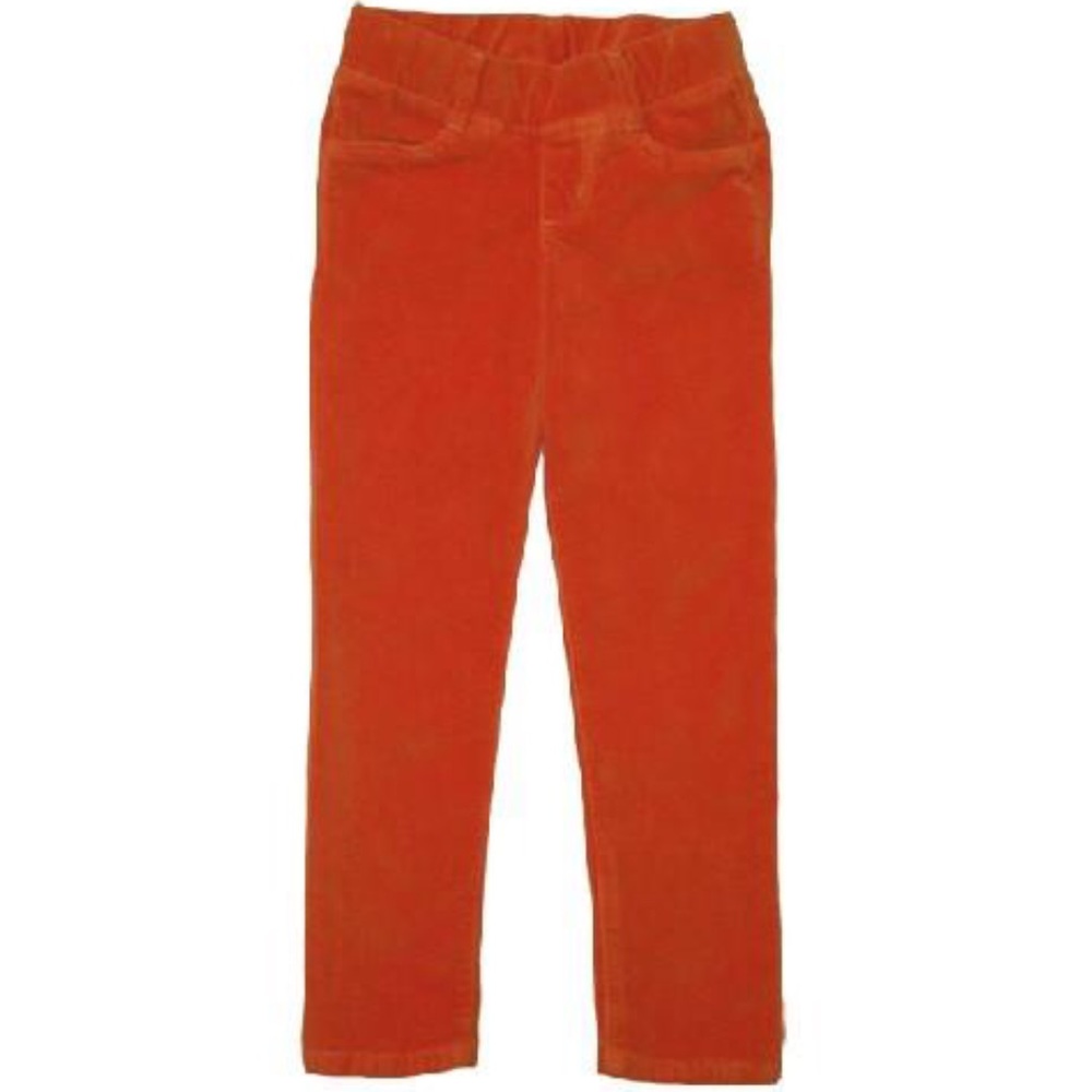 Anthem of the ants cooper corduroy skinny pants